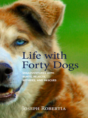 Life with Forty Dogs - ebook